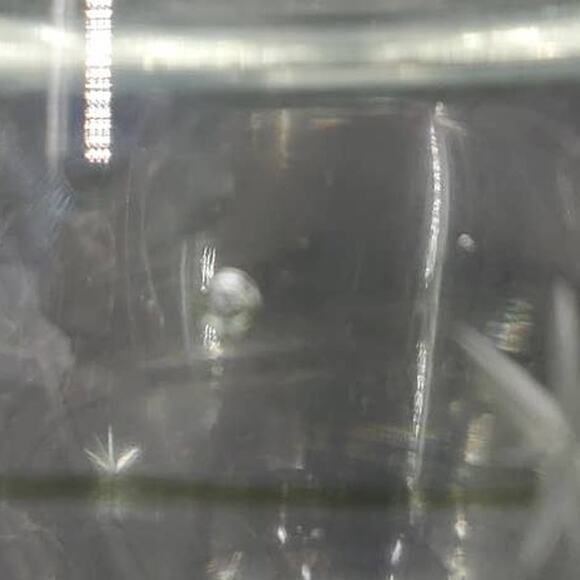 Blown Crystal Moon & Stars Etched Clear Bubbble Art Glass Vase MCM Poland 2 Side - Picture 5 of 10